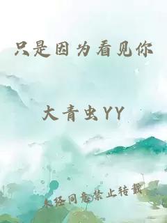 只是因为看见你